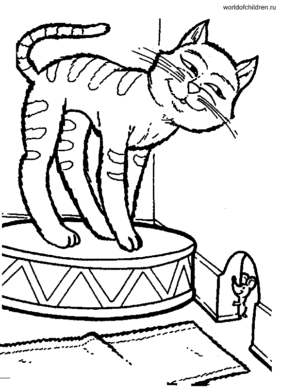 Раскраска Кот на барабане у мышиной норы